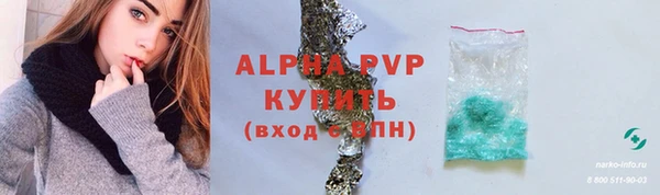 гашик Майский