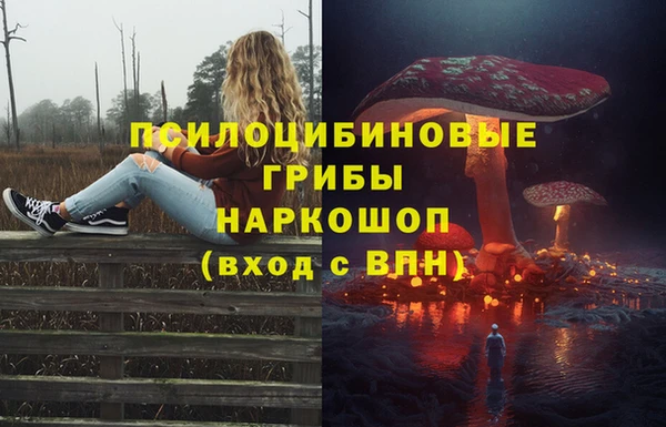 гашик Майский