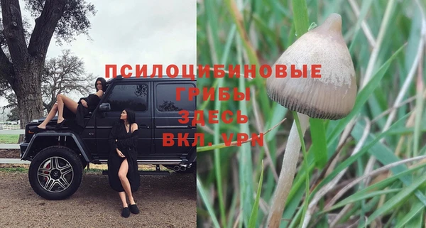 СК Медногорск