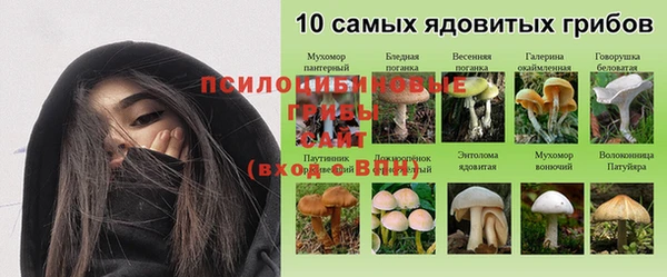 а пвп мука Мегион