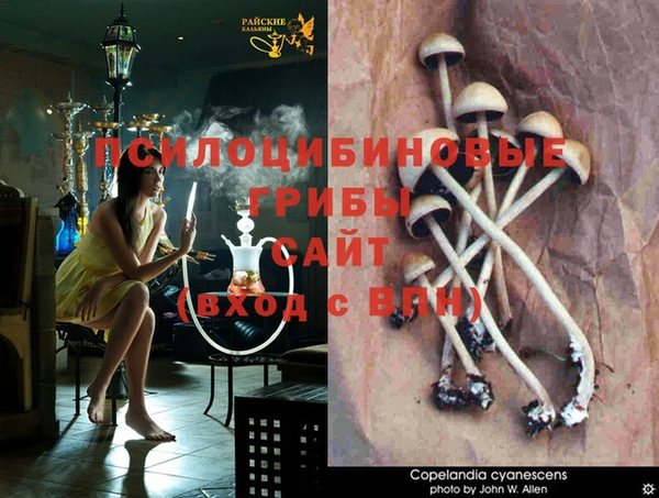 бутик Абаза