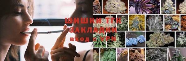 гашик Майский