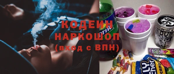 гашик Майский