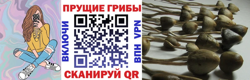 Галлюциногенные грибы MAGIC MUSHROOMS  Сергач 